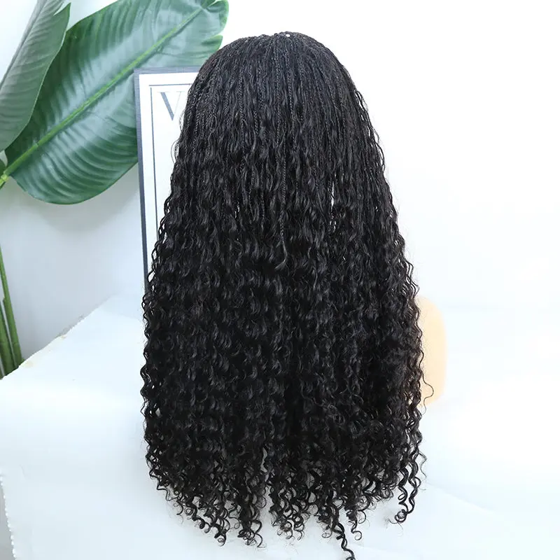 20"-24" Inches Transparent Lace Wig Human Hair Braided Wig With Baby Hair - Image 11